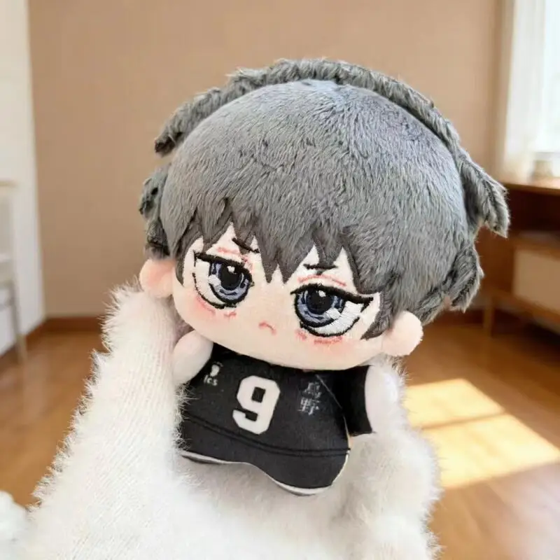 Cartoon Anime Haikyuu Shoyo Hi – Supply Event Bewertung und Preis